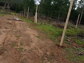Venta / Terreno / Ninhue