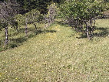 LOMAJES SUAVES