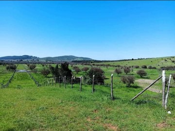Venta / Terreno / Ninhue
