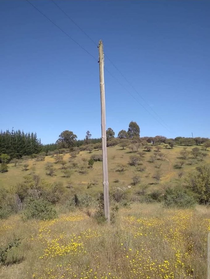 LUZ ELÉCTRICA EN TERRENO