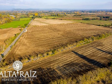 Venta / Terreno / Ñiquén