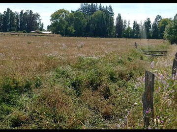 Venta / Terreno / Ñiquén