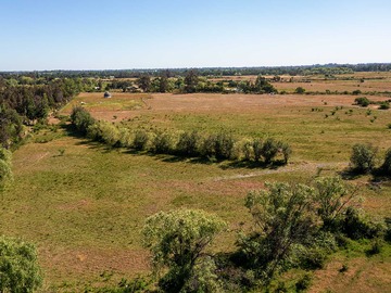 Venta / Terreno / Ñiquén
