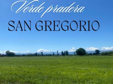 Venta / Terreno / Ñiquén
