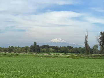 Venta / Terreno / Ñiquén