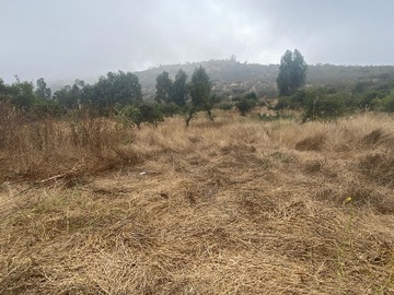 Venta / Terreno / Nogales