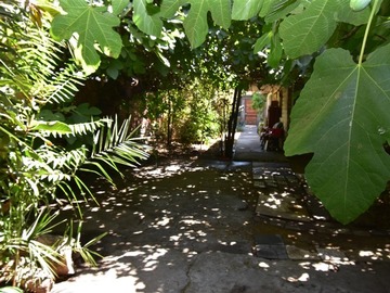Imagen 7