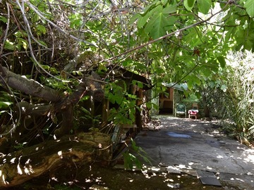 Imagen 5
