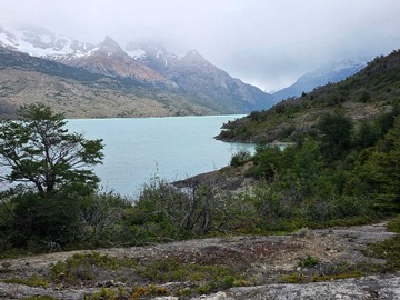 Venta / Terreno / O'Higgins