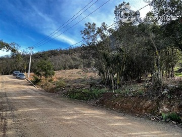 Imagen 14