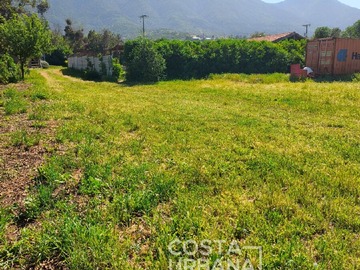 Imagen 16