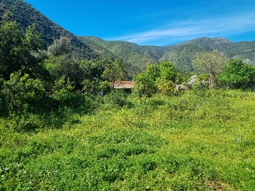 Venta / Terreno / Olmué