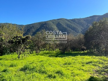 Venta / Terreno / Olmué