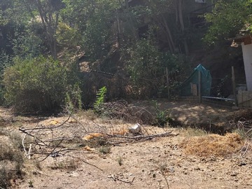 Venta / Terreno / Olmué