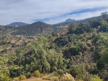 Vistas del terreno