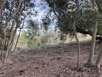 Venta / Terreno / Olmué