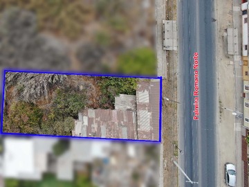 Imagen 4