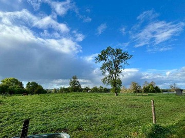 Venta / Terreno / Osorno