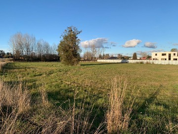 Venta / Terreno / Osorno