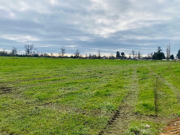 Venta / Terreno / Osorno