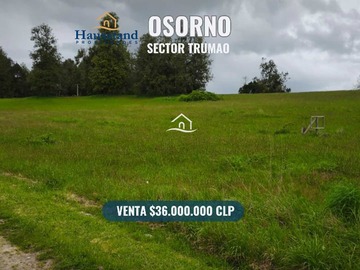 Venta / Terreno / Osorno