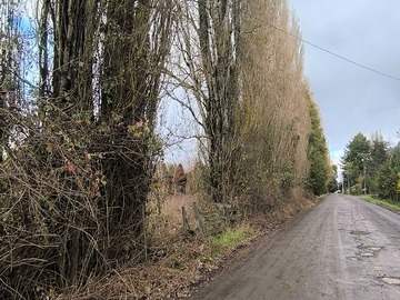 Venta / Terreno / Osorno