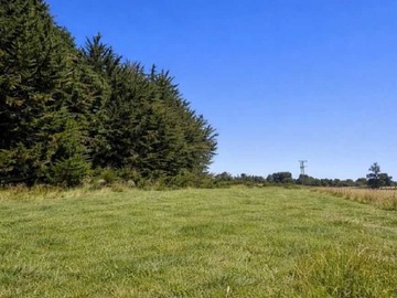 Venta / Terreno / Osorno