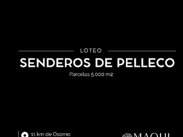 Venta / Terreno / Osorno