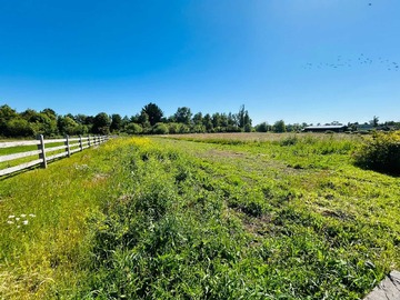 Venta / Terreno / Osorno