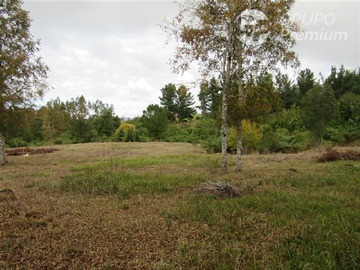 Venta / Terreno / Osorno