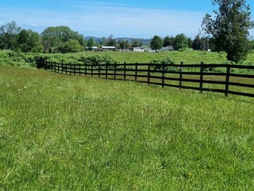 Venta / Terreno / Osorno