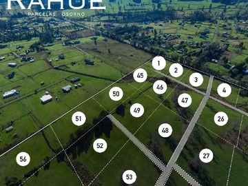 Venta / Terreno / Osorno