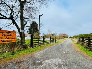 Venta / Terreno / Osorno