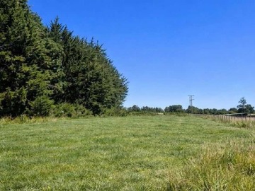Venta / Terreno / Osorno
