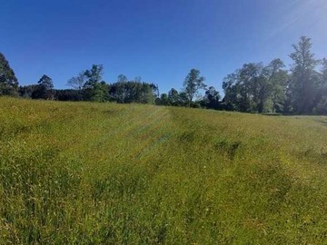 Venta / Terreno / Osorno