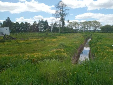 Venta / Terreno / Osorno