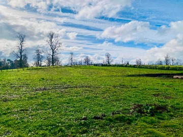 Venta / Terreno / Osorno