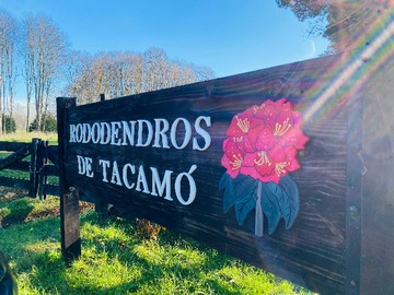 Venta / Terreno / Osorno