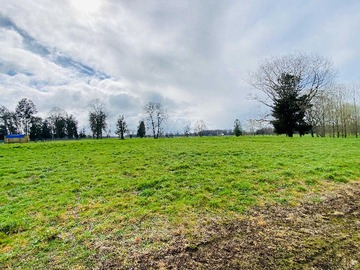 Venta / Terreno / Osorno