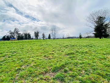 Venta / Terreno / Osorno