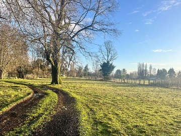 Venta / Terreno / Osorno