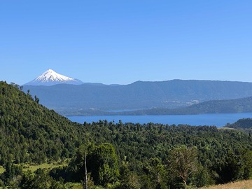 Venta / Terreno / Osorno