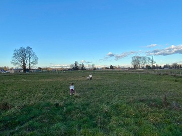 Venta / Terreno / Osorno