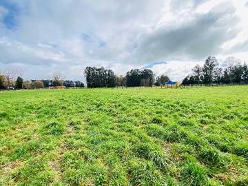 Venta / Terreno / Osorno