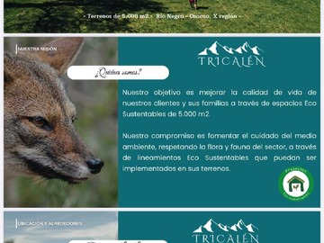 Imagen 5
