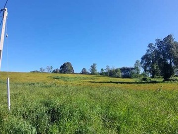 Venta / Terreno / Osorno