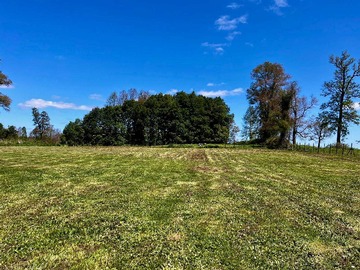 Venta / Terreno / Osorno