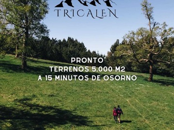 Venta / Terreno / Osorno