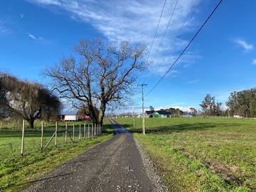 Venta / Terreno / Osorno