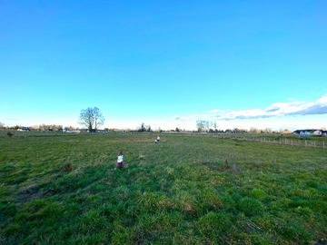 Venta / Terreno / Osorno